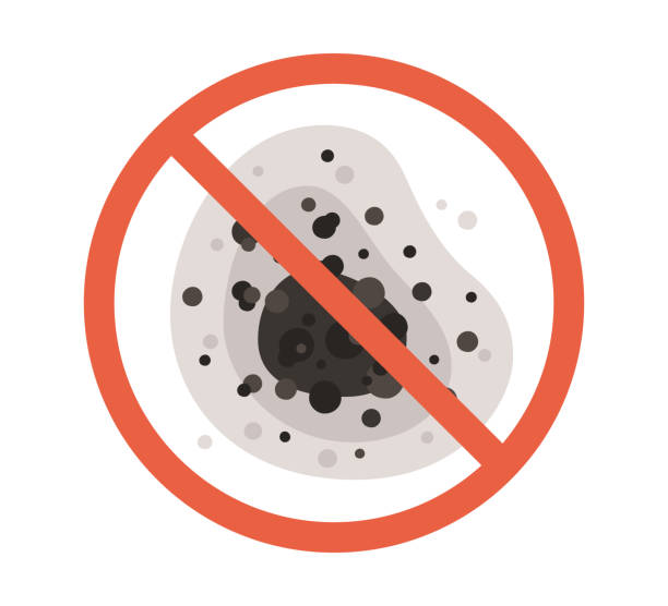 Environmental Consulting for Mold Prevention in Greensboro, NC